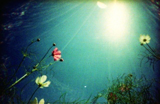 FEEL